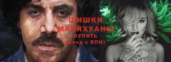 ГАЛЛЮЦИНОГЕННЫЕ ГРИБЫ Волосово