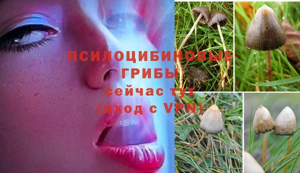 крисы Волоколамск