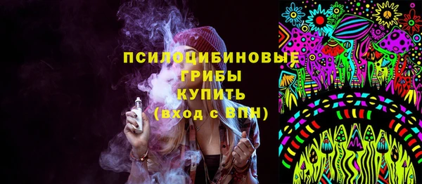 ГАЛЛЮЦИНОГЕННЫЕ ГРИБЫ Волосово